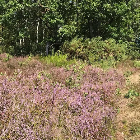 Gites Les Bruyeres 度假居